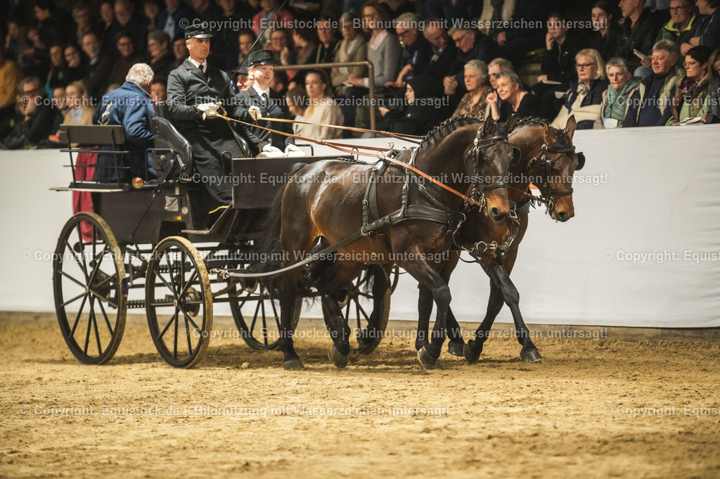20240302_Hengstvorstellung_Marbach_TOMsPiC_0748 | equistock