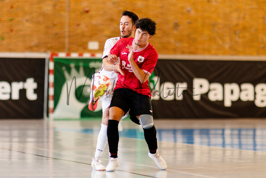 Futsal-Bundesliga, Saison 2025/2026, 2. Spieltag: SC Preußen Münster - FC Liria Futsal Berlin | Futsal-Bundesliga, Saison 2025/2026, 2. Spieltag, SC Preußen Münster empfängt FC Liria Berlin in der Universitäts-Sporthalle in Münster. Foto: sportfotografie.ms | Markus Paletta - Realisiert mit Pictrs.com