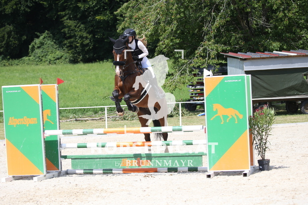 DL2Q1618 | Willkommen bei Brunnmayr - Design & Fotografie – Ihrem Spezialisten für Reitturniere und Pferdeveranstaltungen in Oberösterreich, Salzburg und Bayern! Seit über 17 Jahren sind wir leidenschaftlich dabei.