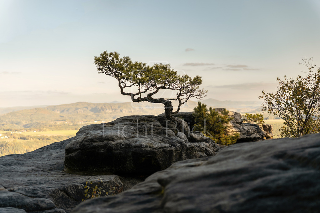 7M302937-2 Kopie | <licht-blick-fotografie><shooting><portraitshooting><tiershooting><landschaftsbilder><shootingbuchen><buchen><fotografbremen> <fotograf niedersachsen><fotografin Bremen und niedersachsen><carshooting><automobilfotografie><auto> - Realisiert mit Pictrs.com
