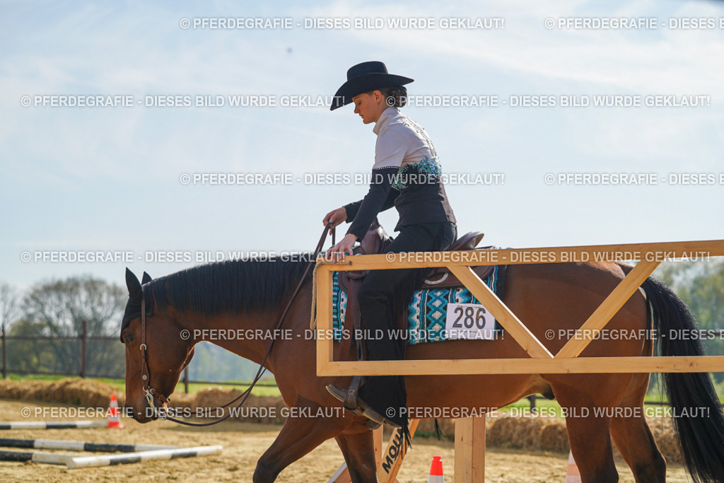 DSC01183 | Pferdegrafie