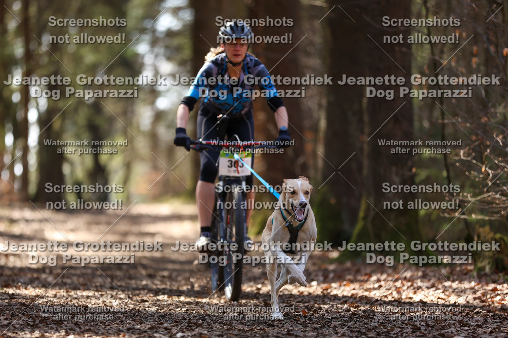 Dog Paparazzi - VCC26-1354 | Dog Paparazzi Jeanette Grottendiek Fotografie & Videografie - Realisiert mit Pictrs.com
