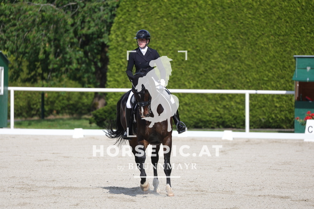 0P6A6738 | Willkommen bei Brunnmayr - Design & Fotografie – Ihrem Spezialisten für Reitturniere und Pferdeveranstaltungen in Oberösterreich, Salzburg und Bayern! Seit über 17 Jahren sind wir leidenschaftlich dabei.