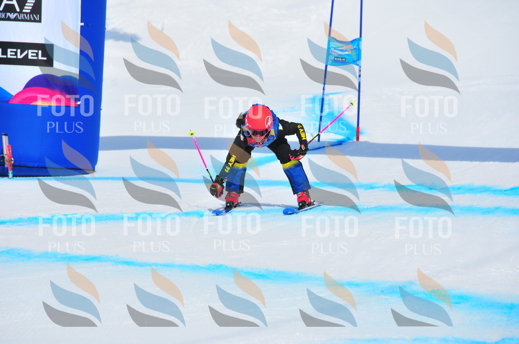 DSC_1462 | holidayphoto