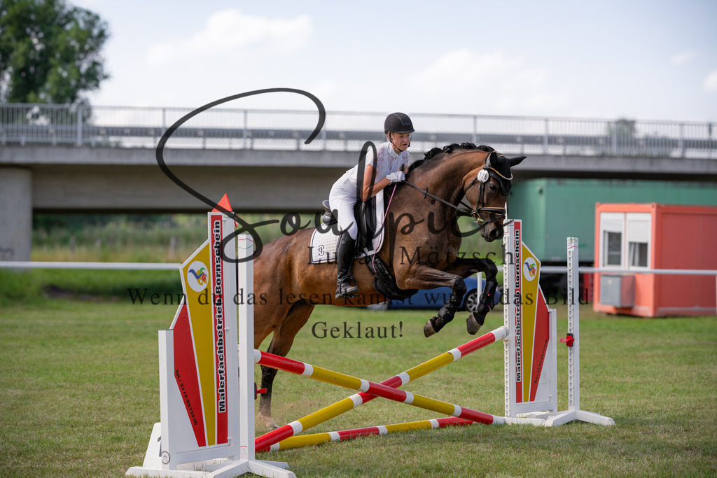 A7V00531 | Turnier/Reitfotograf