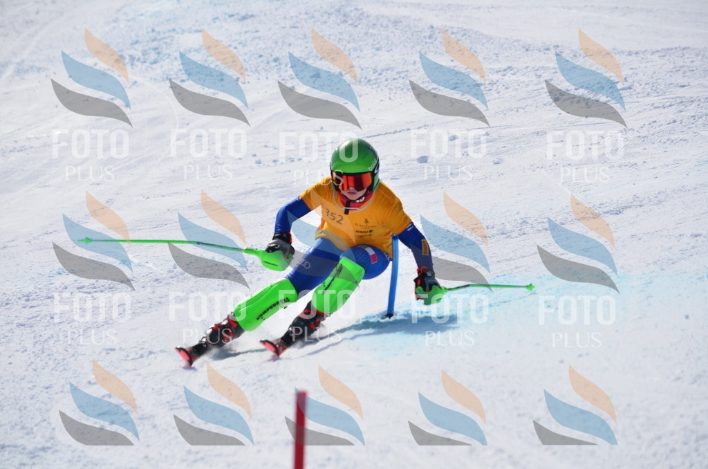 C9794 | holidayphoto