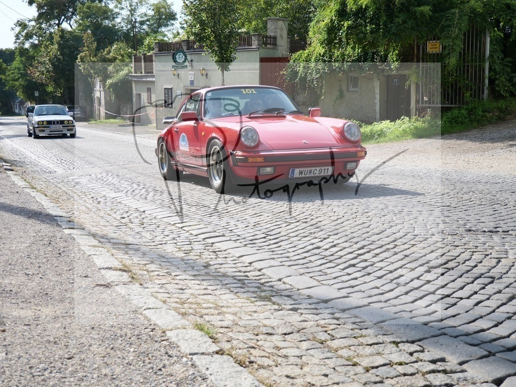 P1000181 | Gerhard Witt