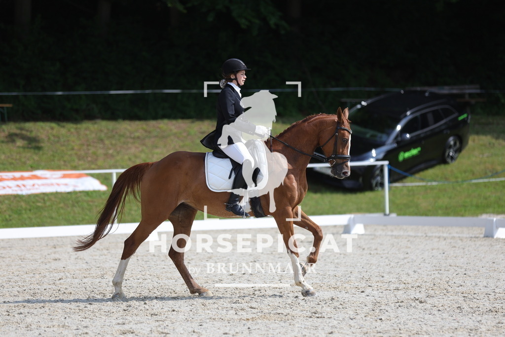 0P6A9012 | Willkommen bei Brunnmayr - Design & Fotografie – Ihrem Spezialisten für Reitturniere und Pferdeveranstaltungen in Oberösterreich, Salzburg und Bayern! Seit über 17 Jahren sind wir leidenschaftlich dabei.