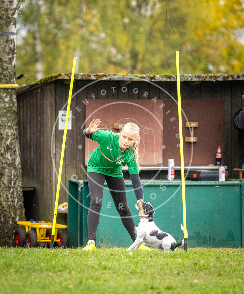 Pfotenfotografie_DV3A0628 | Hundefotografie, Tierfotograf, Pfotenfotografie, Fotoshooting Hund, Hunde Portrait, Hundesport, Hundeportraits, Heideshooting, Hunde, Sportfotograf, Hundefotograf, Turnierhundsport, THS,  - Realisiert mit Pictrs.com