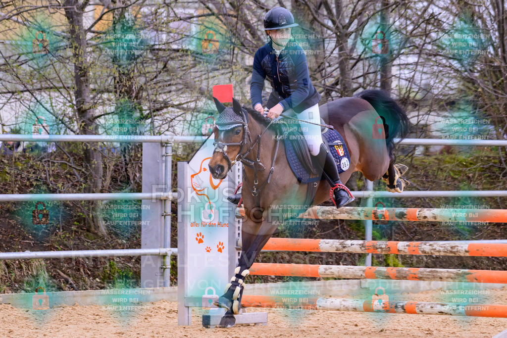 10042026-Mammendorf-Prfg17-0874 | Fokus Hufschlag Fotografie - Realisiert mit Pictrs.com