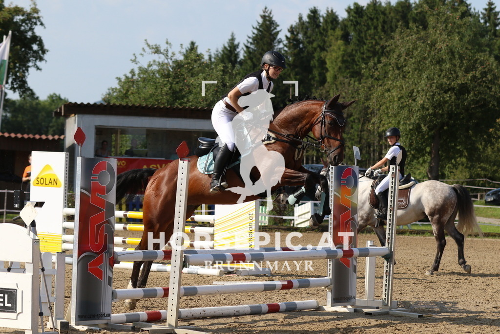 7V2A2543 | Willkommen bei Brunnmayr - Design & Fotografie – Ihrem Spezialisten für Reitturniere und Pferdeveranstaltungen in Oberösterreich, Salzburg und Bayern! Seit über 17 Jahren sind wir leidenschaftlich dabei.