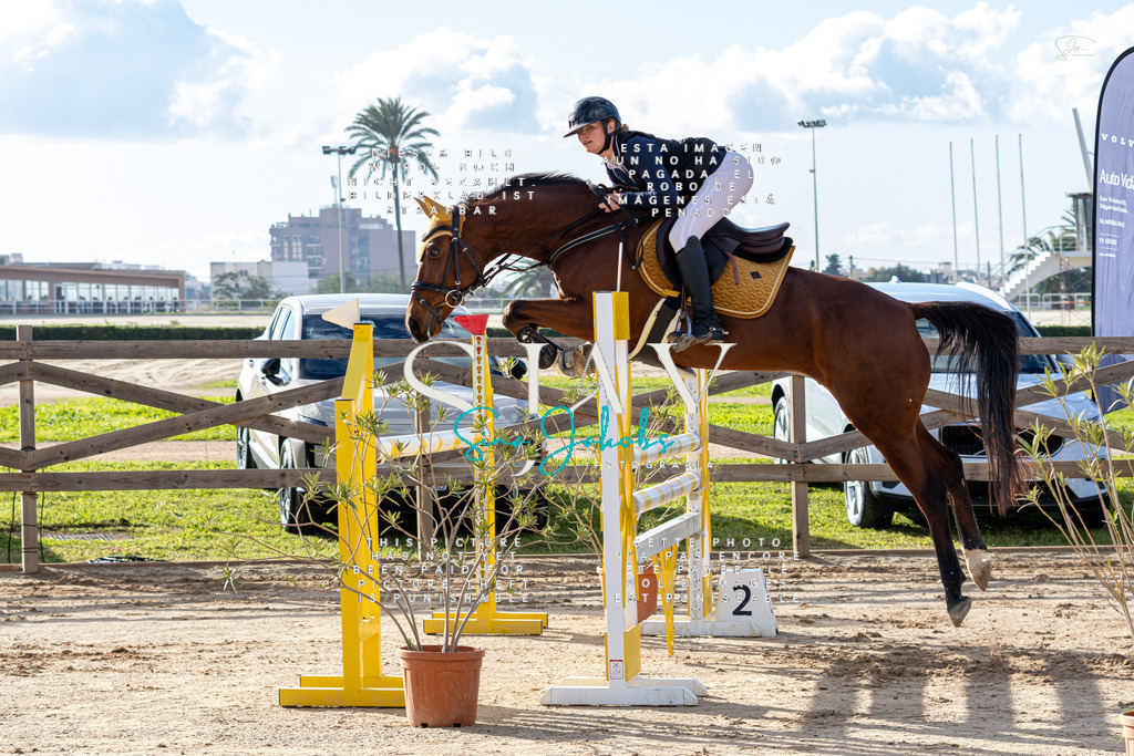 IMG_1583 | s-jay-photography - Realisiert mit Pictrs.com