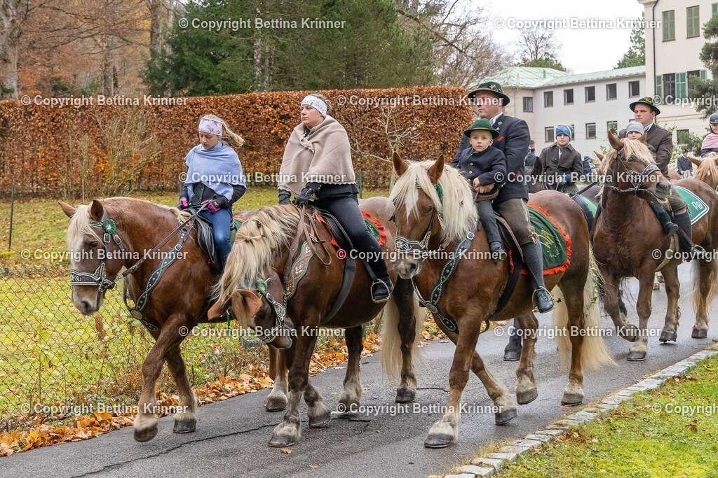 LL25-101 | foto-bettina-krinner - Realisiert mit Pictrs.com