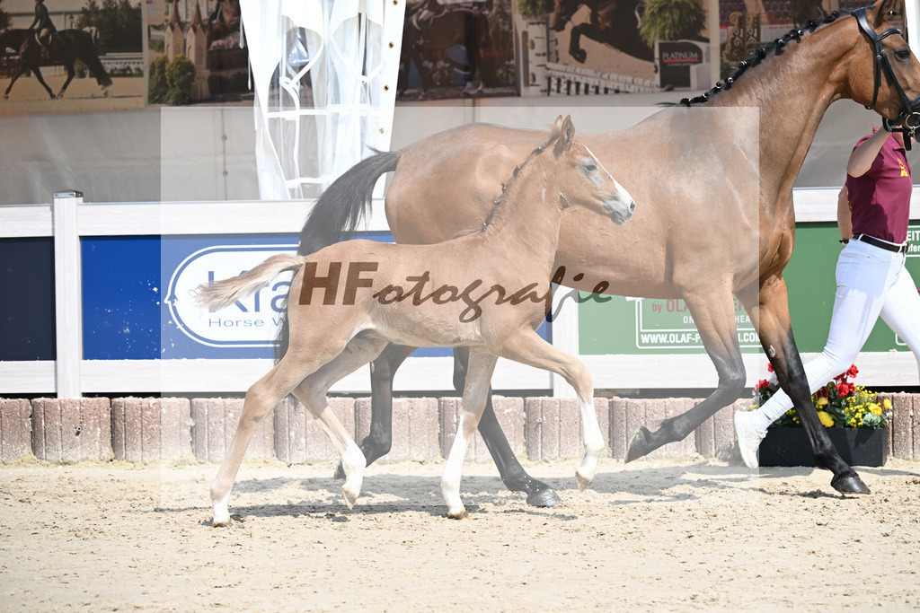 Arezzo Man x Zinedream_HF_Lohmiller_12250392 | hf-fotografie - Realisiert mit Pictrs.com