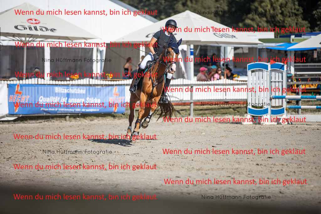 BK1A7198 | Turnierbilder Turnierfotos Nina Hüffmann Turnierfotografie Pferdefotografie Tierzeichnung Haustierzeichnung Pferdezeichnung Hundezeichnung Videograf  - Realisiert mit Pictrs.com