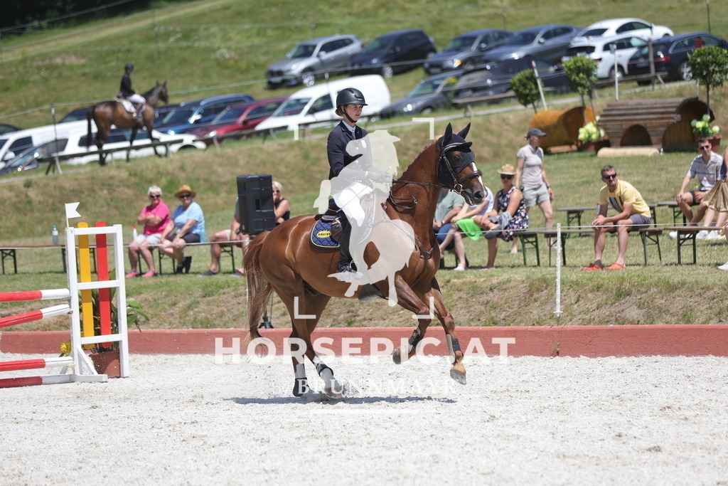 0P6A8892 | Willkommen bei Brunnmayr - Design & Fotografie – Ihrem Spezialisten für Reitturniere und Pferdeveranstaltungen in Oberösterreich, Salzburg und Bayern! Seit über 17 Jahren sind wir leidenschaftlich dabei.