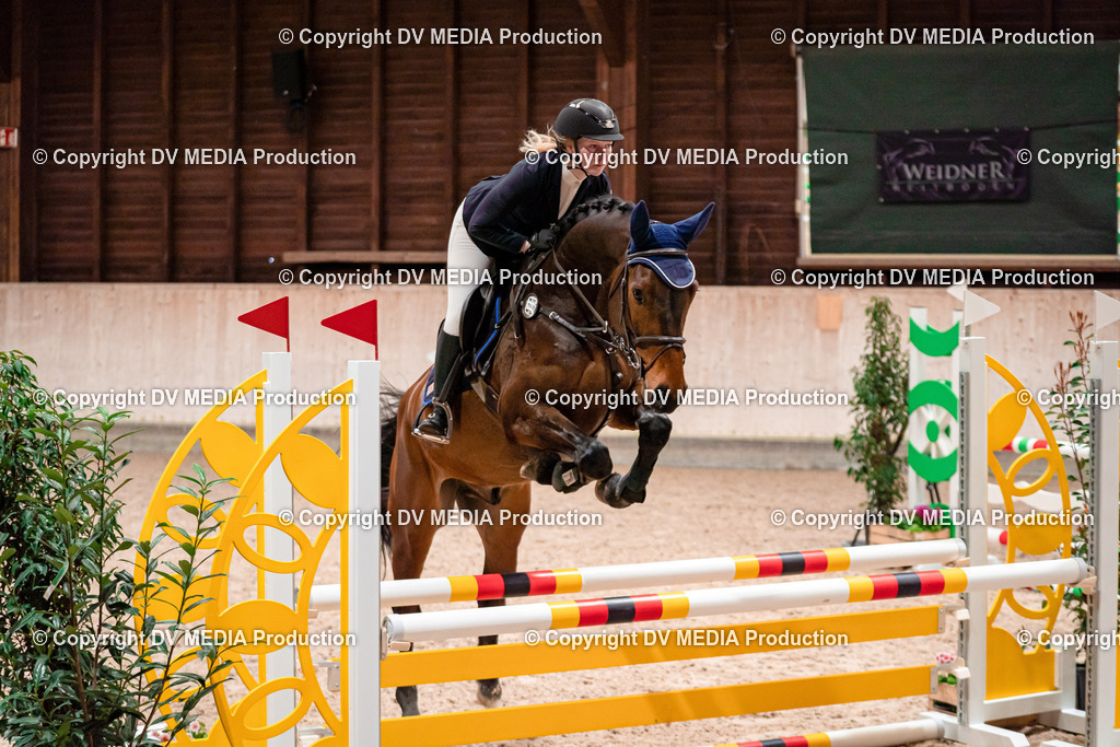 Springen Tag 1-11 | dv-media-shop - Realisiert mit Pictrs.com