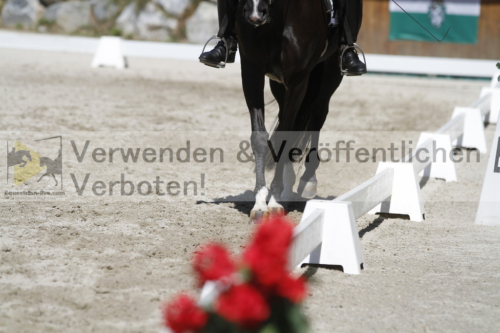 _MG_0064 | equestrian-live-com