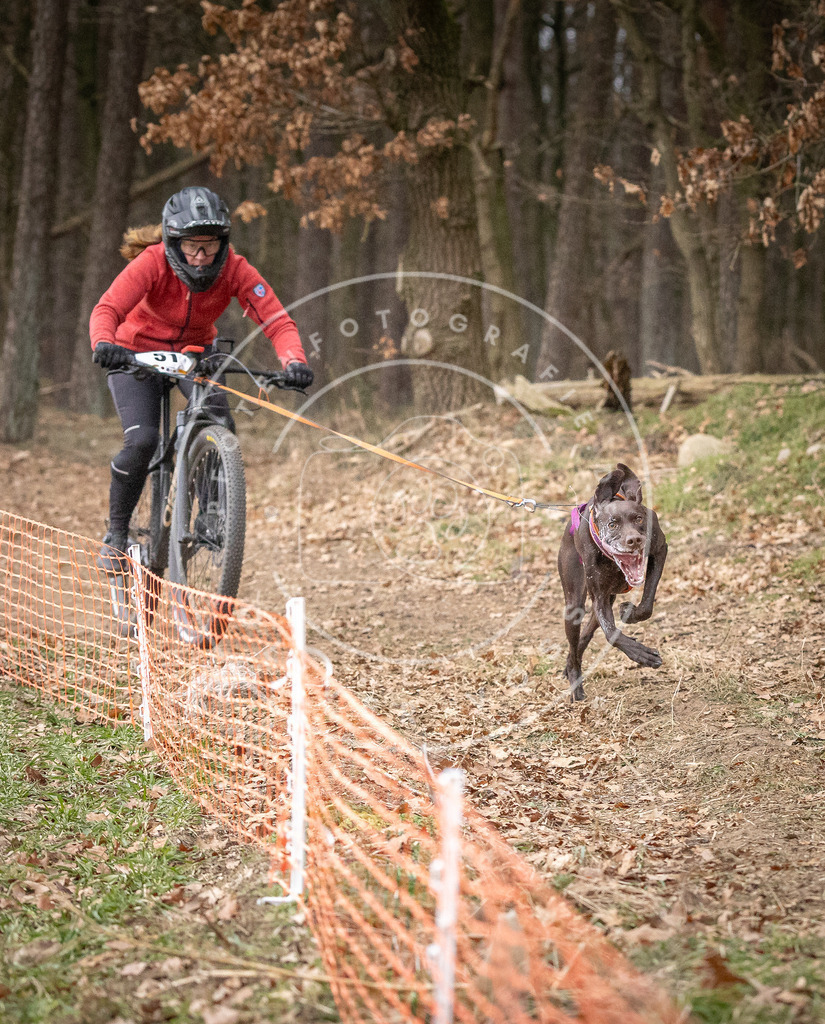 Pfotenfotografie_DV3A1394 | Hundefotografie, Tierfotograf, Pfotenfotografie, Fotoshooting Hund, Hunde Portrait, Hundesport, Hundeportraits, Heideshooting, Hunde, Sportfotograf, Hundefotograf, Turnierhundsport, THS,  - Realisiert mit Pictrs.com