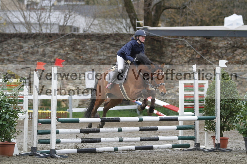 _MG_3497 | equestrian-live-com