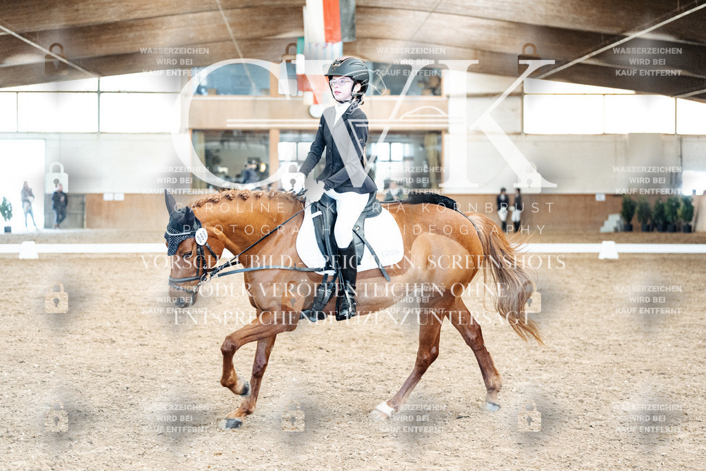 CK900234 | Turnierfotografie Pferdefotografie Trier Rheinland-Pfalz Pferdesport Reitsport Tierfotografie Sportfotografie Pferdevideo Pferdevideografie Equestrianvideography equestrianphotography  - Realisiert mit Pictrs.com