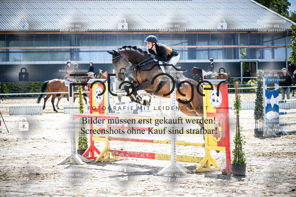 DOS_1445 | Reitturnier Lüdinghausen - Realisiert mit Pictrs.com
