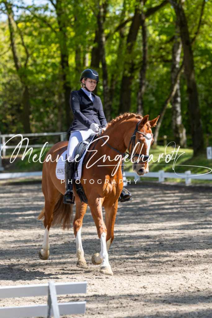 7I8A4890 | melanie-engelhardt-photography - Realisiert mit Pictrs.com