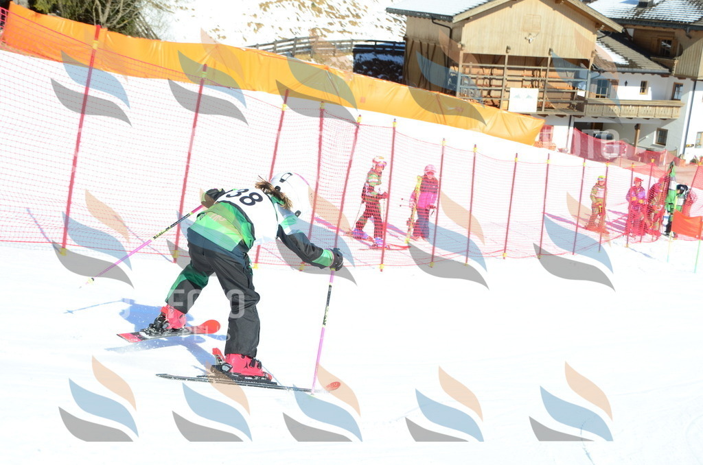 C5017 | holidayphoto