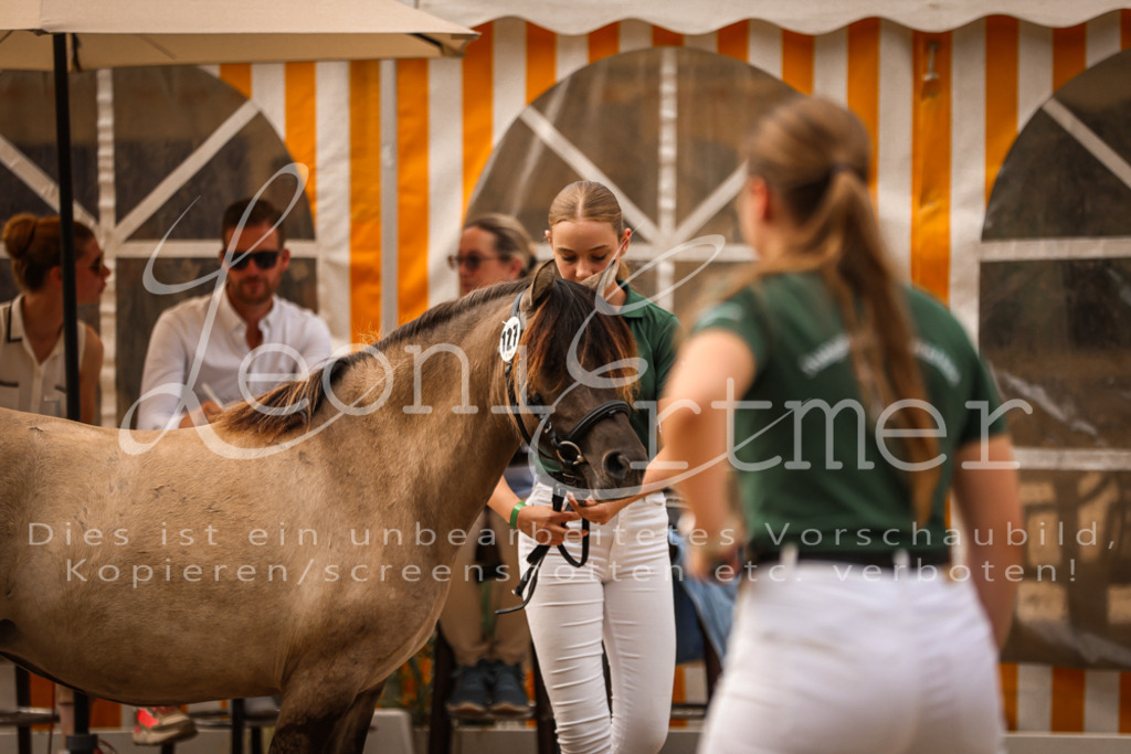 03.So00033 | Leoni Ertmer Photography - Realisiert mit Pictrs.com