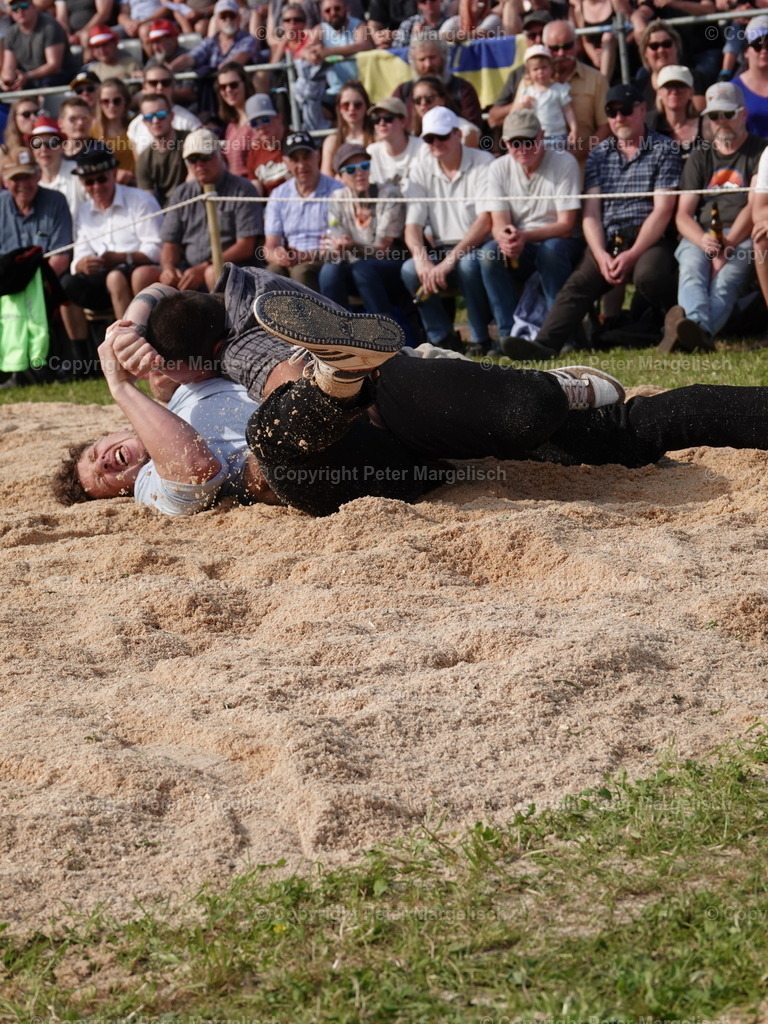 DSC06897 | Schwingen - Realisiert mit Pictrs.com