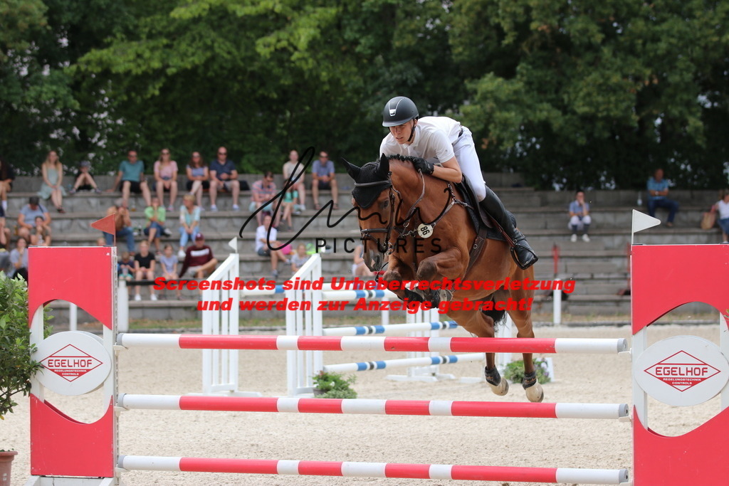 IMG_2142 | lmwpictures - Realisiert mit Pictrs.com