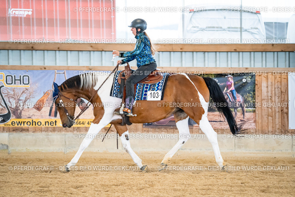 DSC09174 | Pferdegrafie