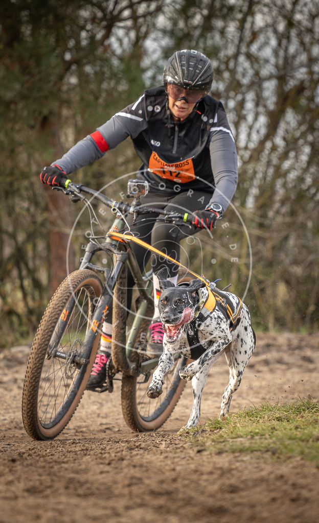 Pfotenfotografie_DV3A7871 | Hundefotografie, Tierfotograf, Pfotenfotografie, Fotoshooting Hund, Hunde Portrait, Hundesport, Hundeportraits, Heideshooting, Hunde, Sportfotograf, Hundefotograf, Turnierhundsport, THS,  - Realisiert mit Pictrs.com