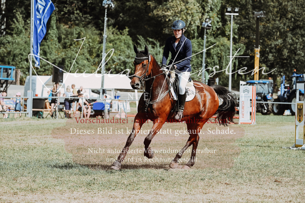 DSC_9385 | Pferde- und Turnierfotografie in Westsachsen. Pferdeportraits, Auftragszeichnungen und intuitive Kunst.