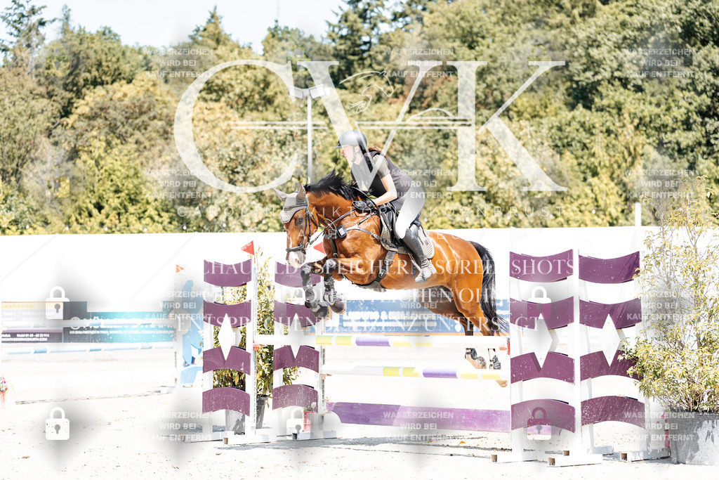 CK900308 | Turnierfotografie Pferdefotografie Trier Rheinland-Pfalz Pferdesport Reitsport Tierfotografie Sportfotografie Pferdevideo Pferdevideografie Equestrianvideography equestrianphotography  - Realisiert mit Pictrs.com