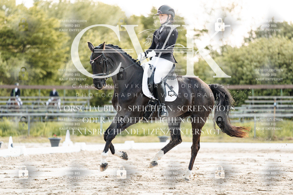 CK909444 | Turnierfotografie Pferdefotografie Trier Rheinland-Pfalz Pferdesport Reitsport Tierfotografie Sportfotografie Pferdevideo Pferdevideografie Equestrianvideography equestrianphotography  - Realisiert mit Pictrs.com