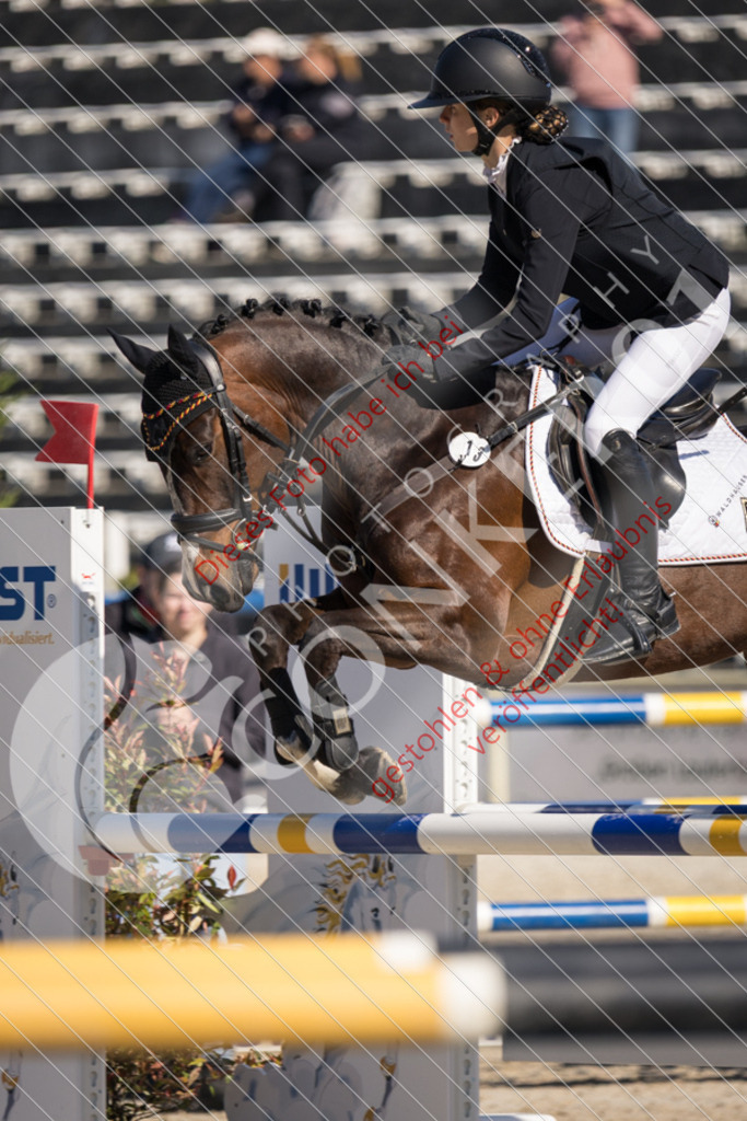 IMG_3398 | Sport-, Event- und Tierfotos in Profiqualität. Einfach auswählen, bestellen und herunterladen. Dein Moment – perfekt festgehalten.