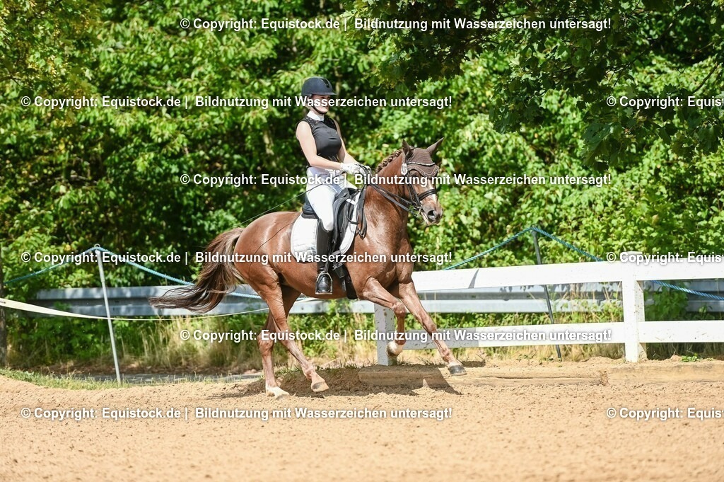 20230716_01_Dressurprüfung Kl.M_0341 | equistock