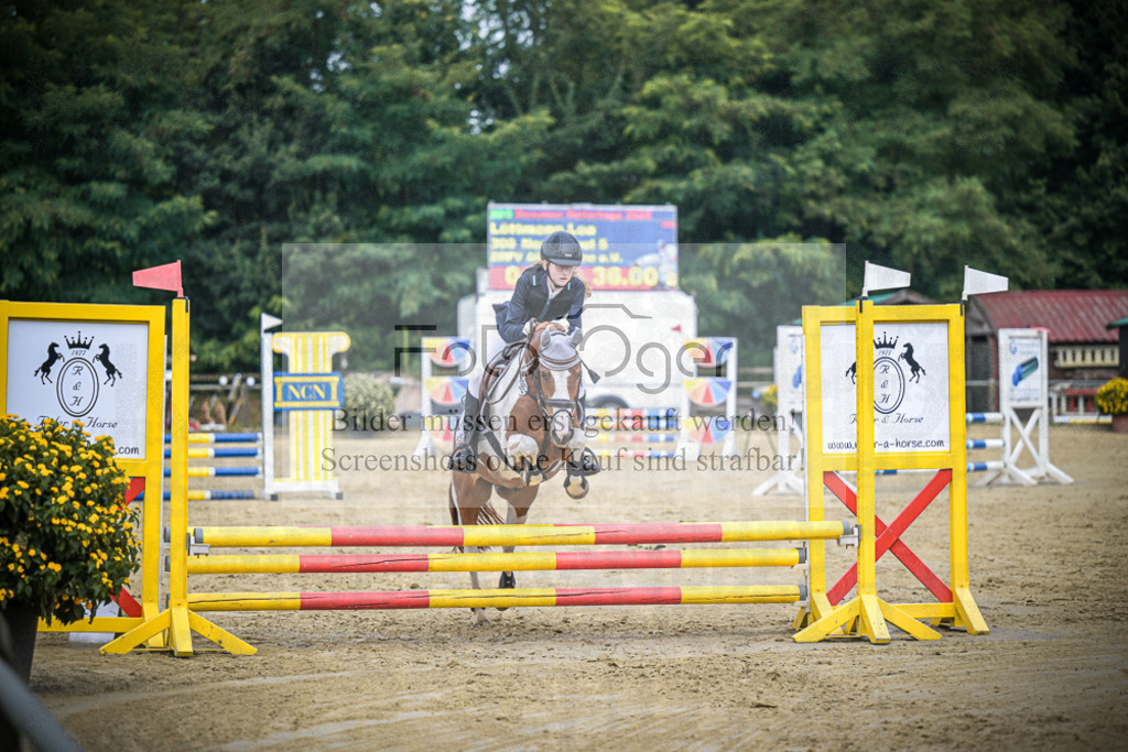 DOS_0820 | Entdecke hochwertige Reitturnierfotos von Foto Oger. Professionell, emotional und authentisch – jetzt Lieblingsmomente im Shop bestellen.Deutschlandweite Turnierfotografie. - Realisiert mit Pictrs.com