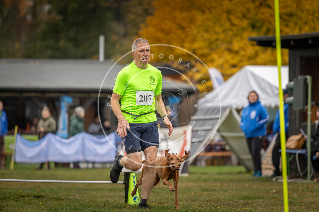 Pfotenfotografie_DV3A1794 | Hundefotografie, Tierfotograf, Pfotenfotografie, Fotoshooting Hund, Hunde Portrait, Hundesport, Hundeportraits, Heideshooting, Hunde, Sportfotograf, Hundefotograf, Turnierhundsport, THS,  - Realisiert mit Pictrs.com
