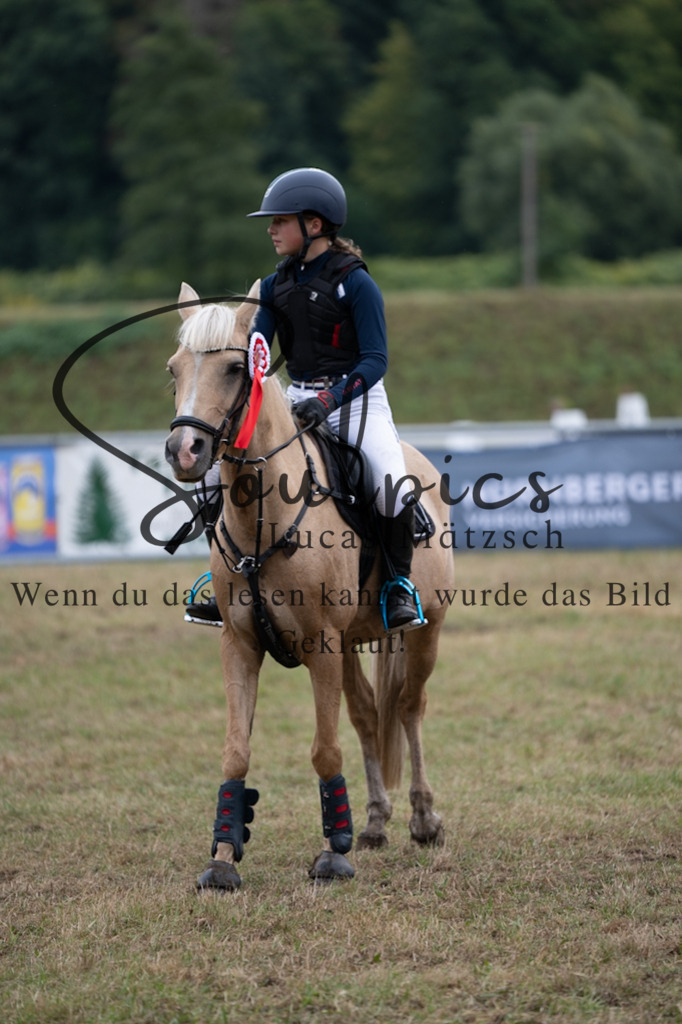 A7V00362 | Pferdefotograf