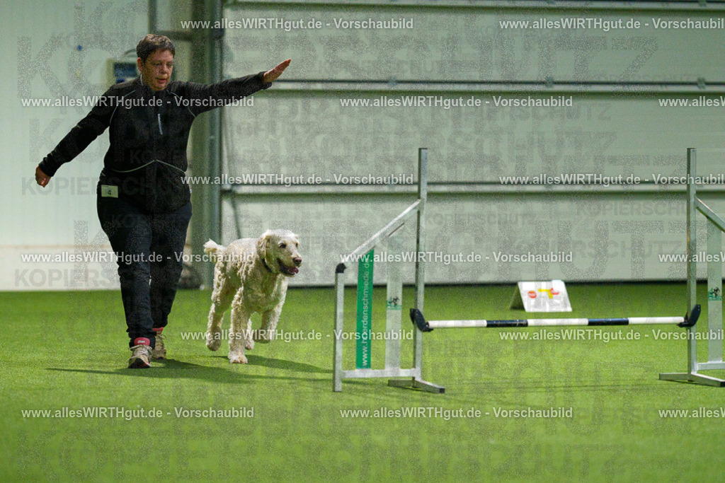 7R504311 | Professionelle Tierfotografie in Mönchengladbach von Daniel Wirth (allesWIRTHgut). Liebevolle & natürliche Bilder von Hunden & Katzen für unvergessliche Erinnerungen.