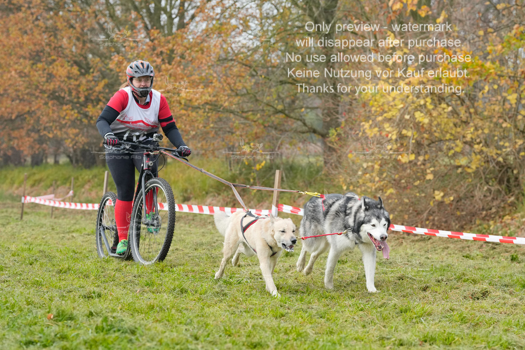 Visbeck_Sa_DS2DR2-129 | stephaniefillaphotographie - Realisiert mit Pictrs.com