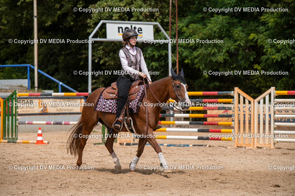 EWP_6073 | dv-media-shop - Realisiert mit Pictrs.com