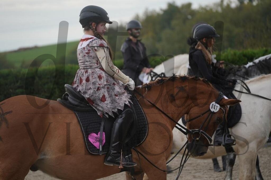 pfmagarethenhof (808) | d.tail Visions - Shop - Realisiert mit Pictrs.com