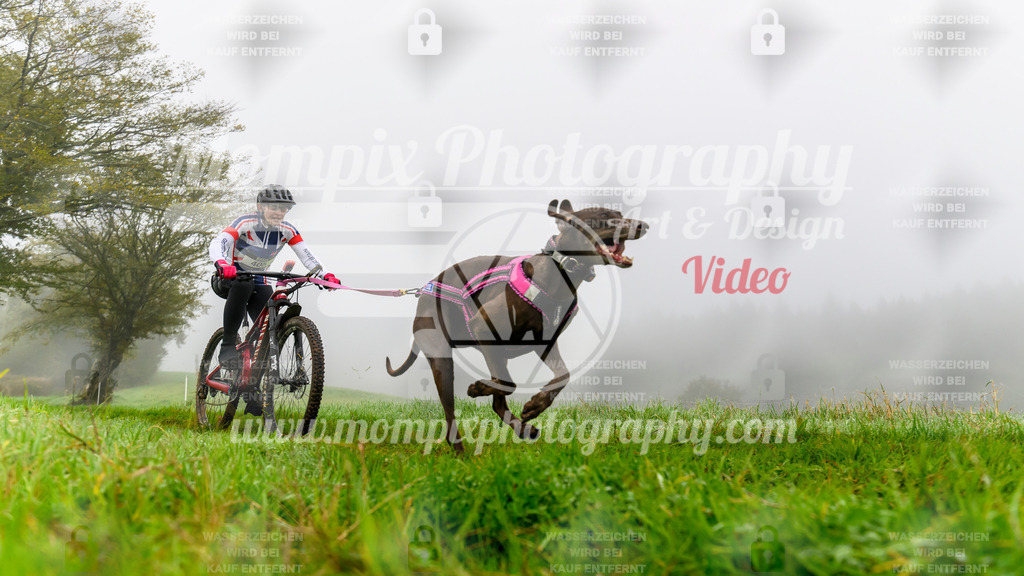 MompixPhotography_20TSB_E5_Bike-25 | PayLife