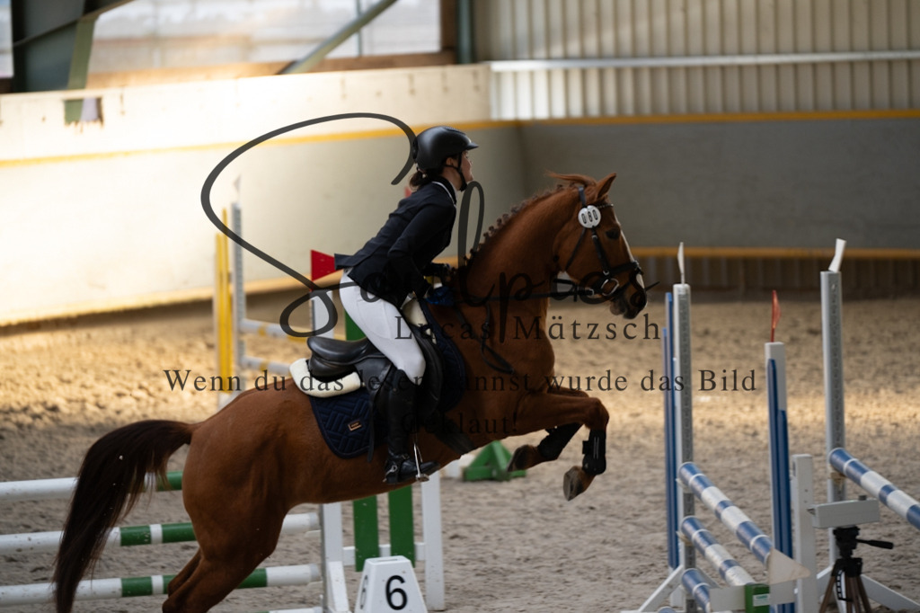 A7V01990 | Pferdefotograf