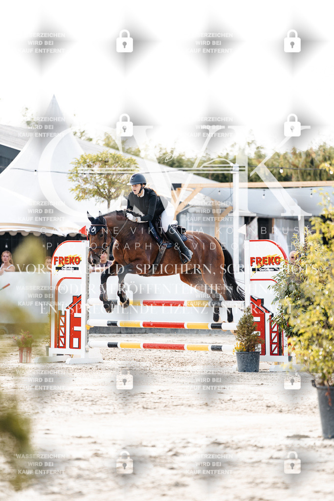 CK906455 | Turnierfotografie Pferdefotografie Trier Rheinland-Pfalz Pferdesport Reitsport Tierfotografie Sportfotografie Pferdevideo Pferdevideografie Equestrianvideography equestrianphotography  - Realisiert mit Pictrs.com