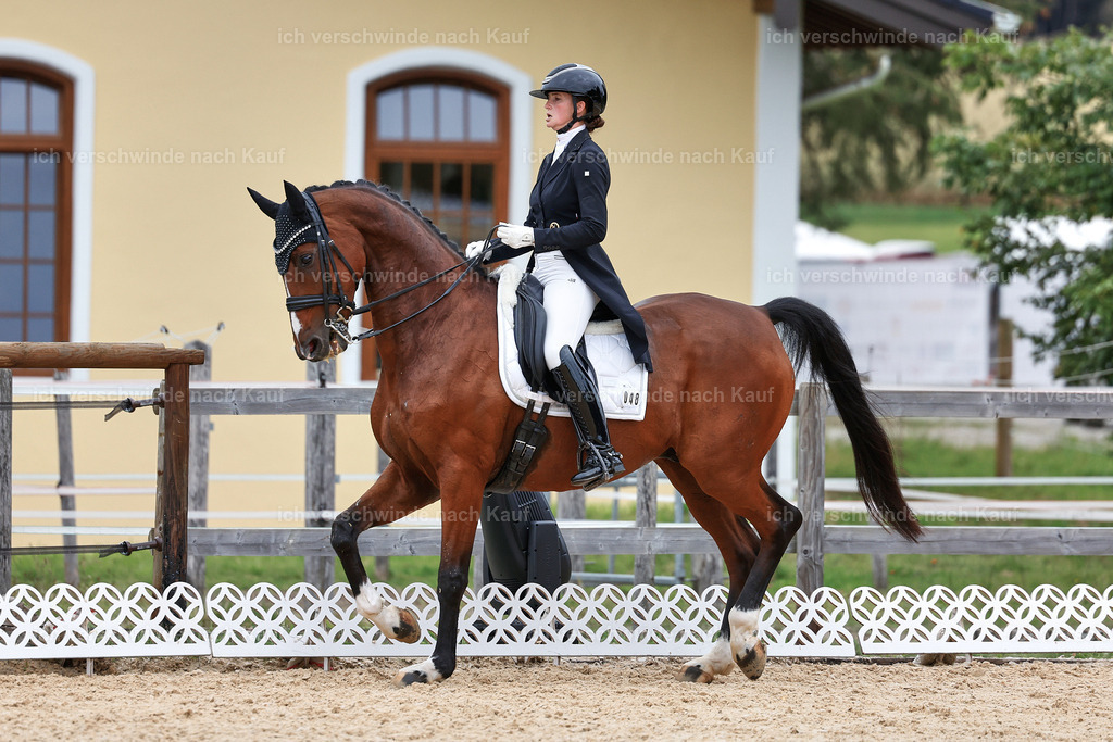 11-048-Dressur S___-StoibPH-1397 | working equitationturnier fotograf videograf stoibphotography marixx film working equitation deutschland reitsport turnierfotografie eventfotografie equestrian events