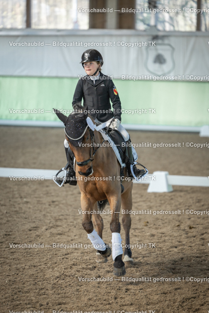 _D5A8636 | Emotionale Pferde- & People-Fotografie rund um Heidelberg, Leimen & Umgebung. Natürliche Fotos von Pferd, Mensch & Familie. Jetzt Termin sichern!